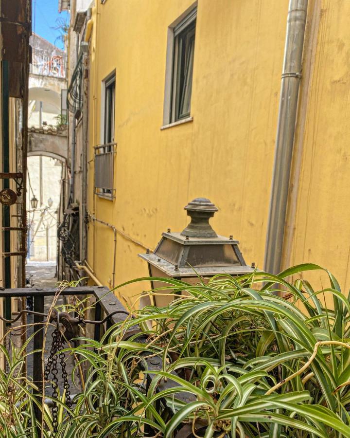 Bed and Breakfast La Casa Degli Angeli à Salernes Extérieur photo